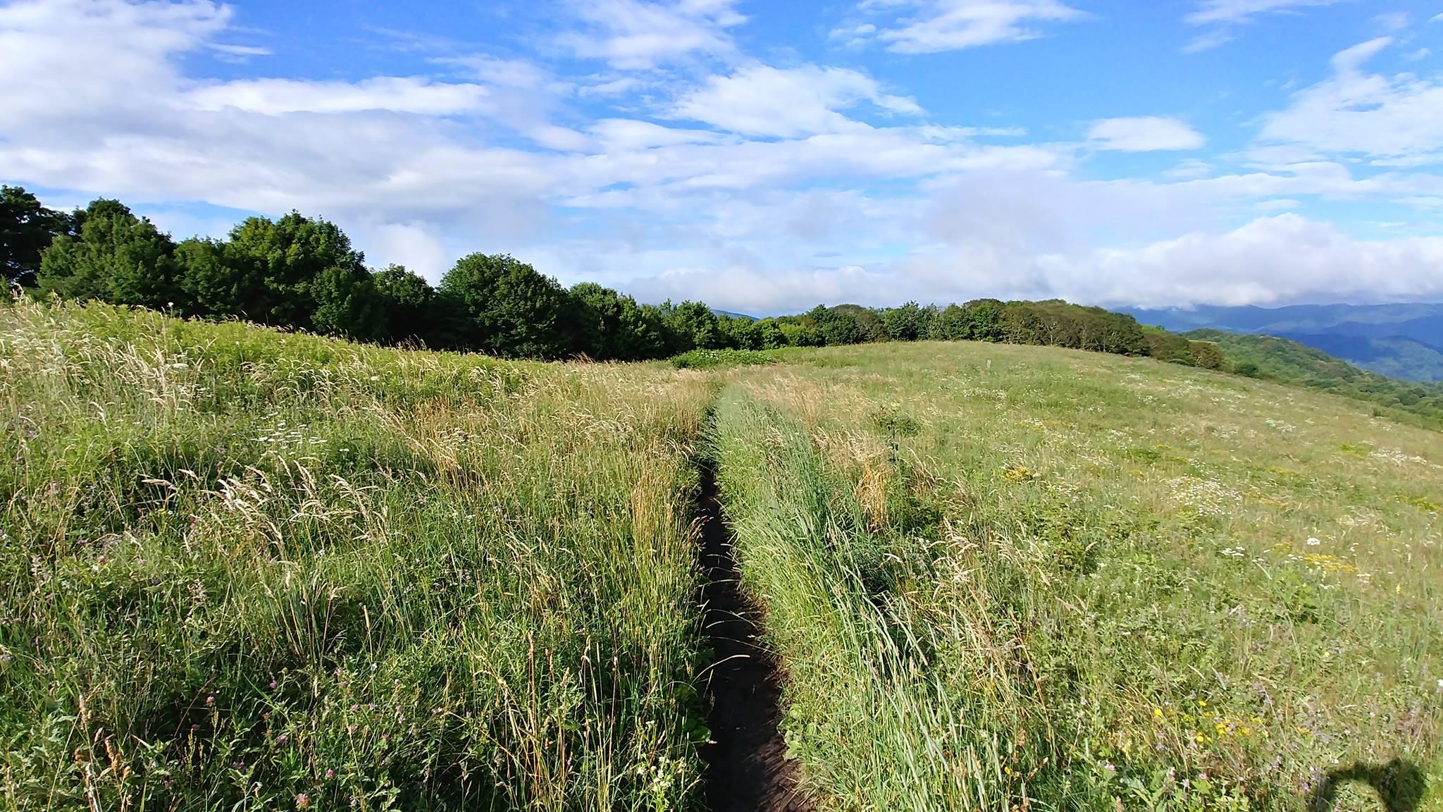 A path through a field on top of a mountain