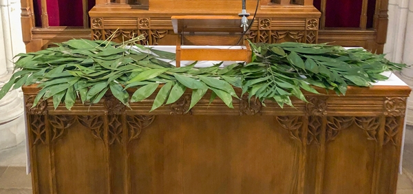 Palm Sunday branches
