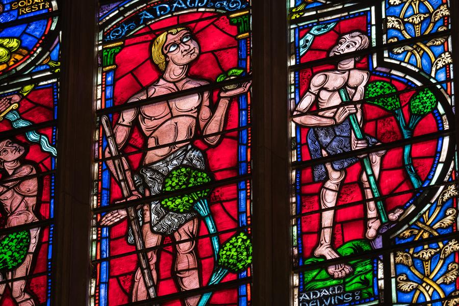 A window depicting Adam in the Garden of Eden